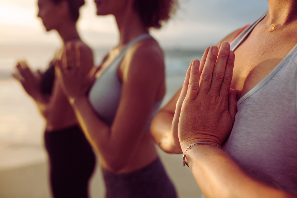 wellness visit