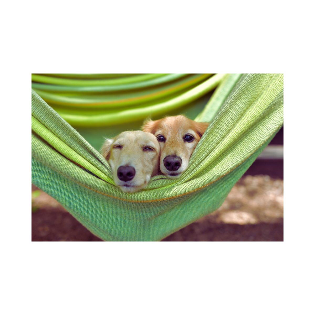 support 10 comfort zone