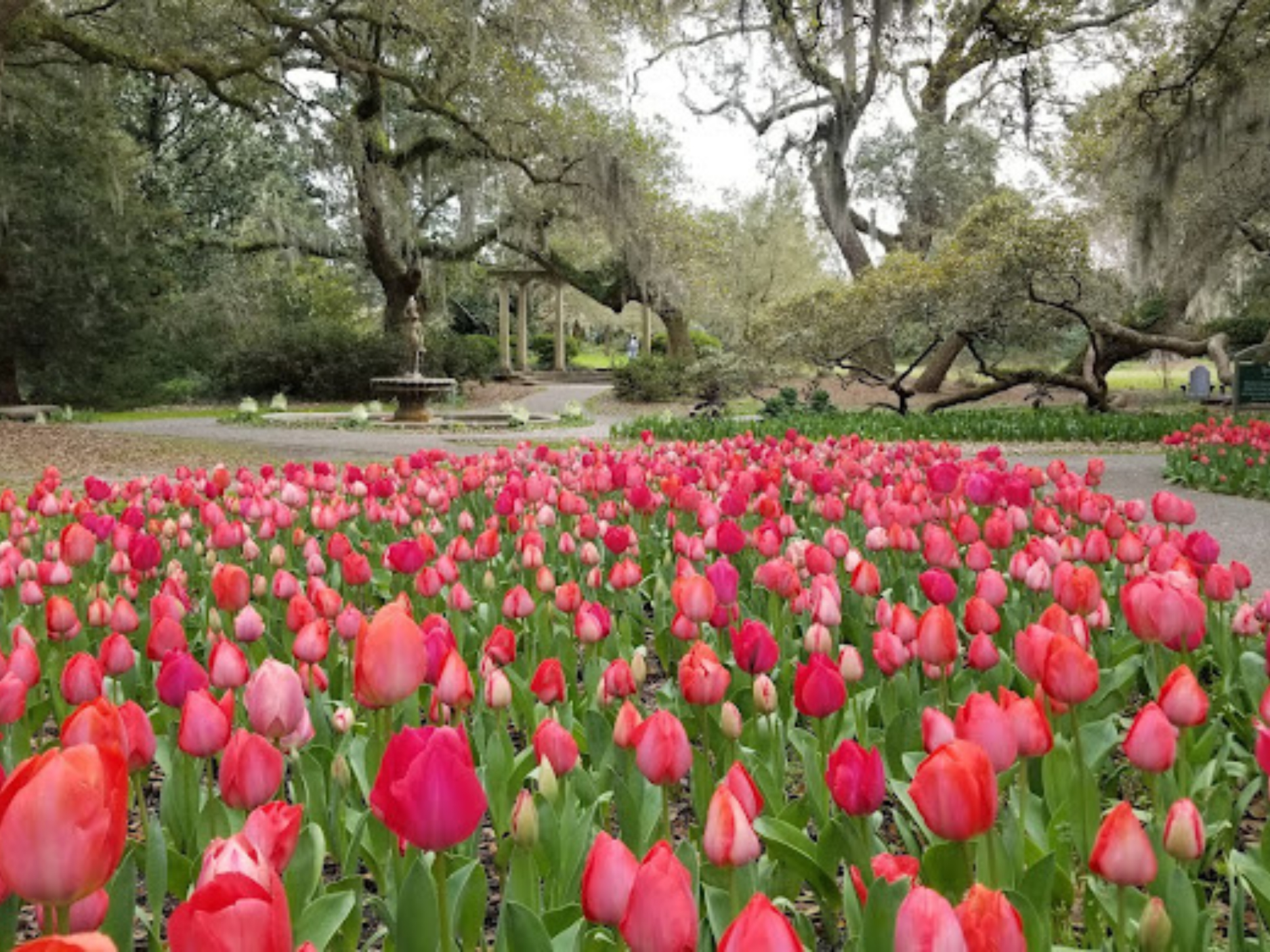 wilmington, nc image jpg